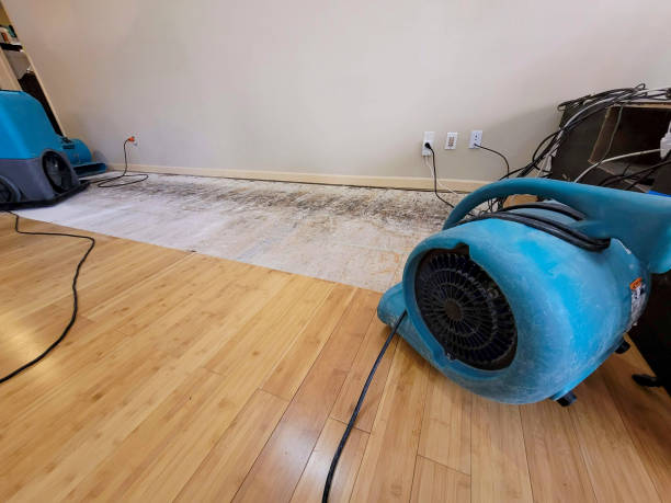 Professional Basement Flood Cleanup technician working in Chester, PA